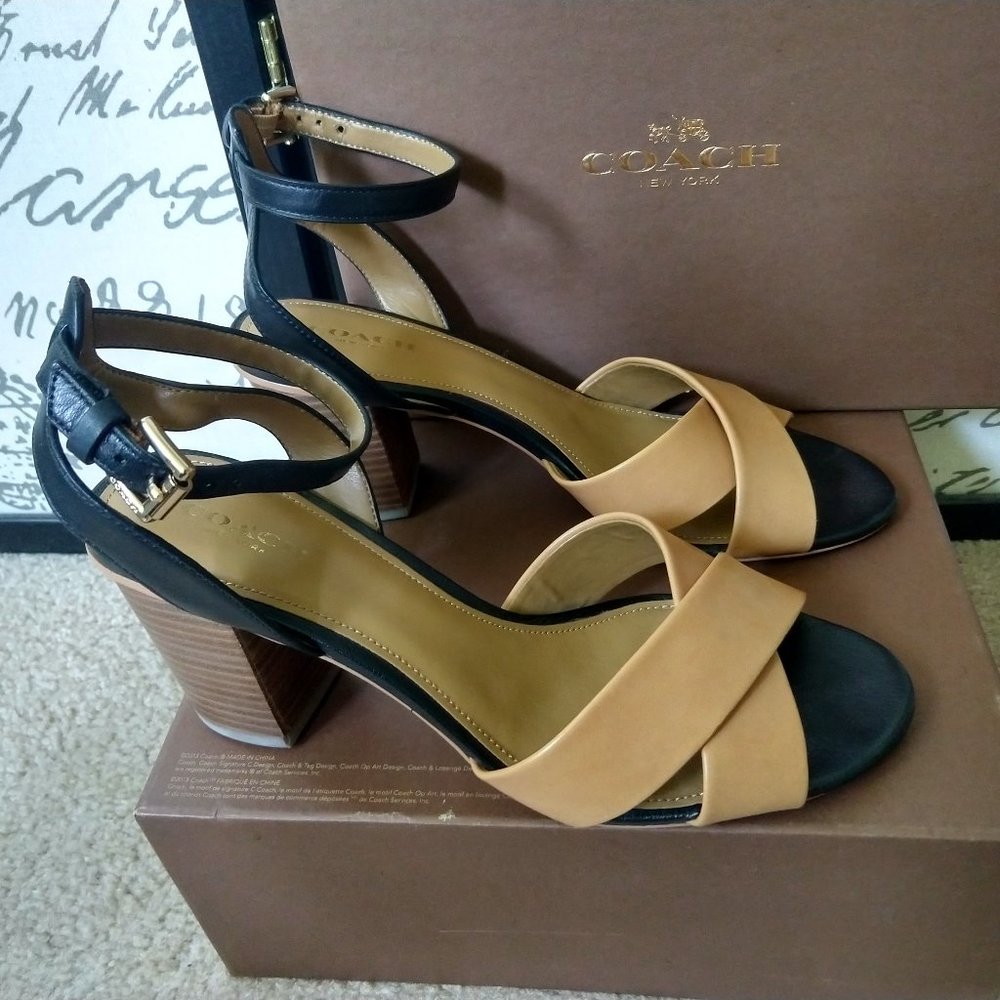 Coach Black and Brown Leather Ankle Strap Sandal (8)